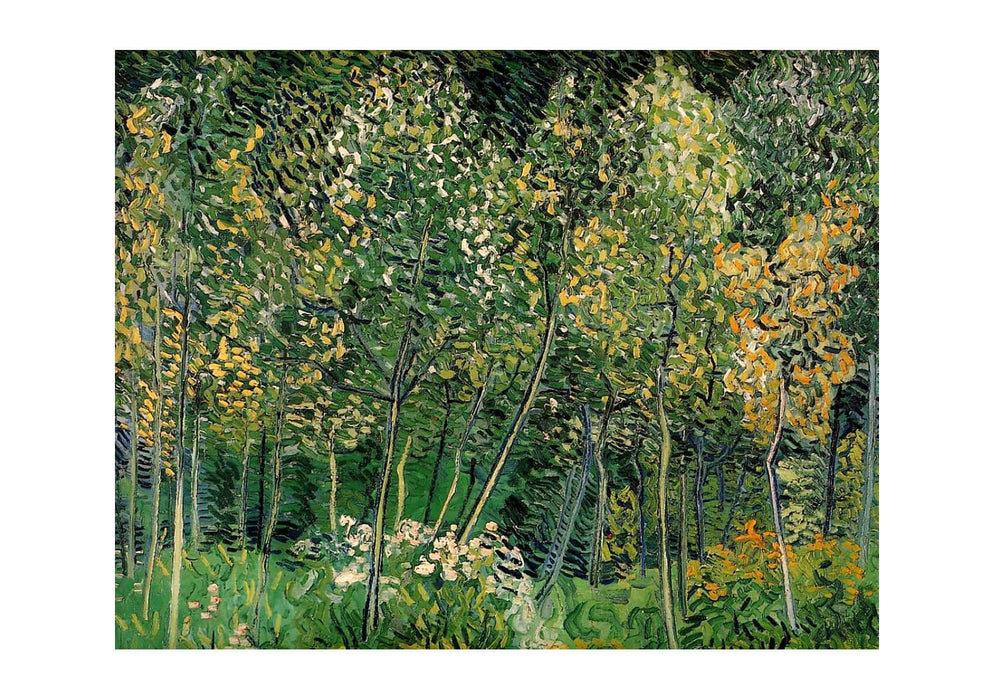 Vincent Van Gogh The Grove, 1890