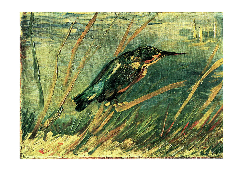 Vincent Van Gogh The Kingfisher, 1886