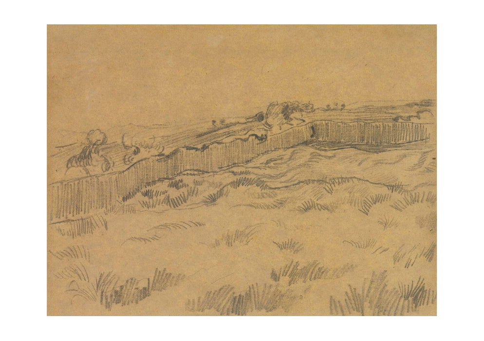 Vincent Van Gogh The Walled Wheatfield