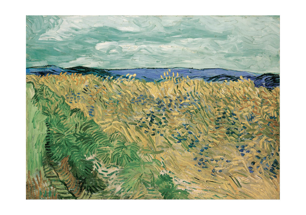 Vincent Van Gogh Wheatfield With Cornflowers
