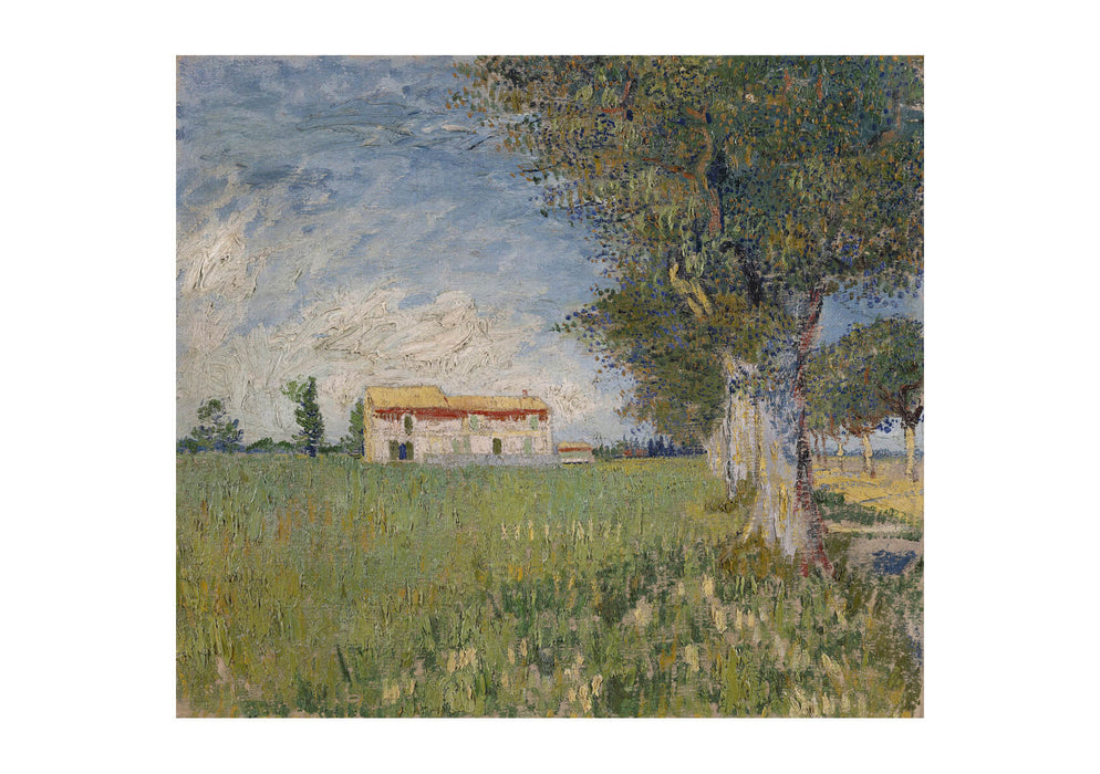 Vincent van Gogh Boerderij in een korenveld