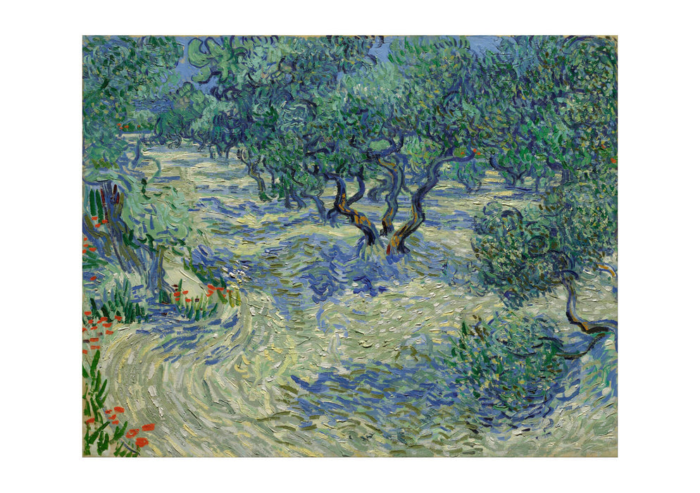 Vincent van Gogh Olive Orchard