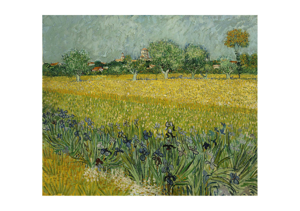Vincent van Gogh Veld met bloemen bij Arles