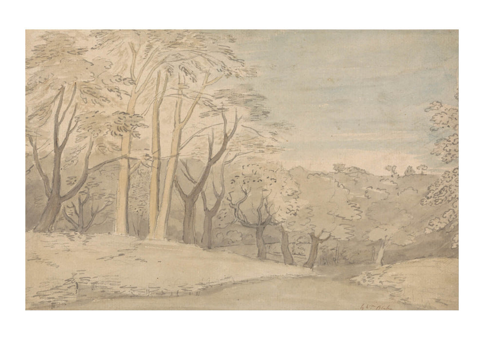 William Blake - A Woody Landscape