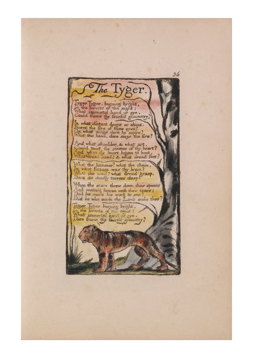 William Blake - The Tyger