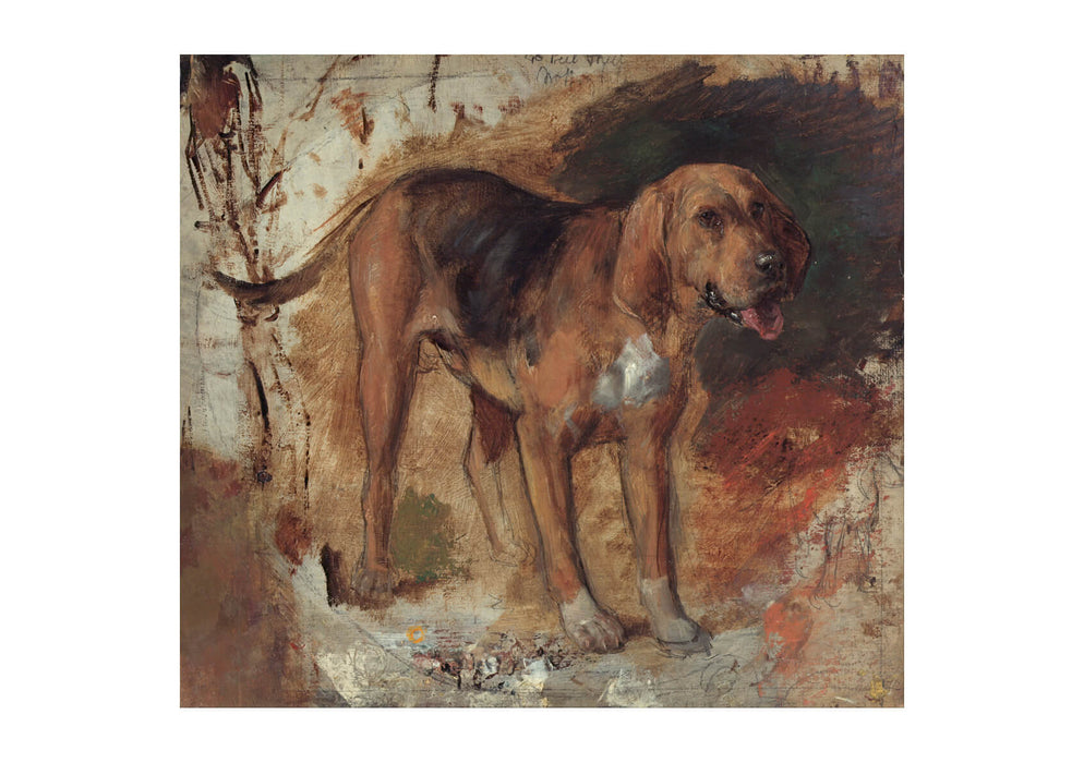 William Holman - Study of a bloodhound